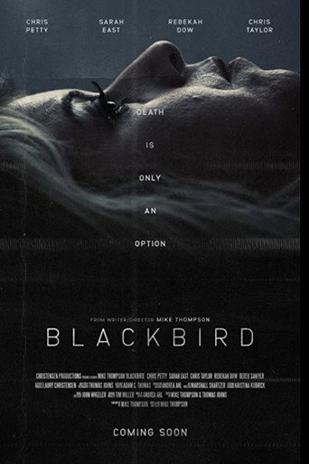 Blackbird movie poster