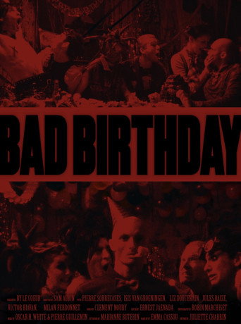 Bad Birthday movie poster