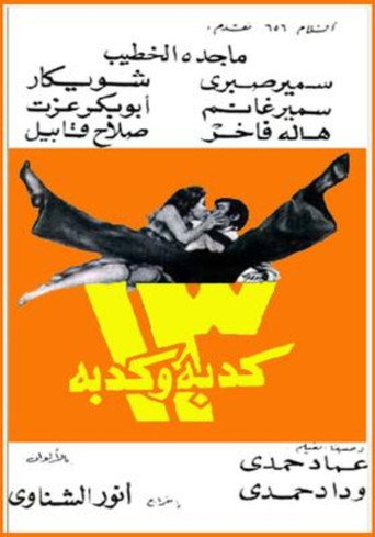 13 lies movie poster