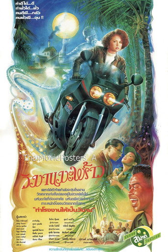 วิมานมะพร้าว movie poster