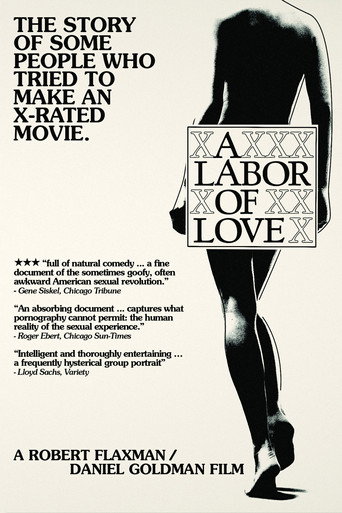 A Labor of Love movie poster