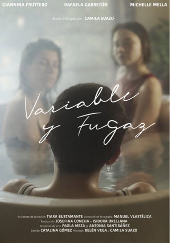 Variable and Fleeting movie poster