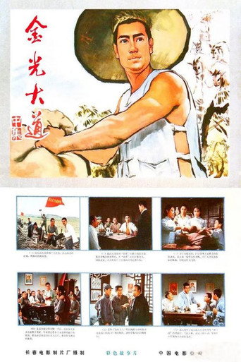 Jin guang da dao zhong ji movie poster