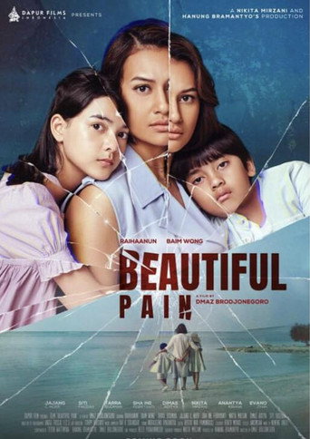 Beautiful Pain movie poster