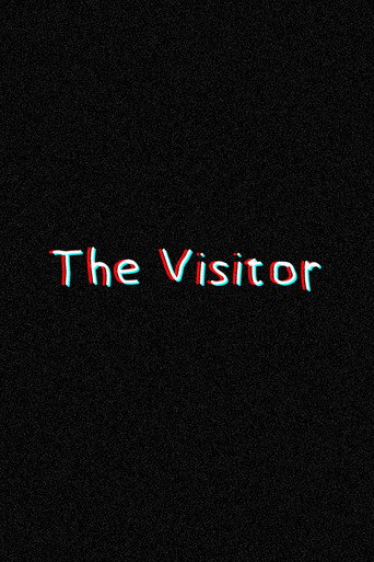 The Visitor movie poster