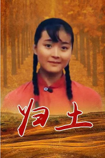 Back to Roots movie poster