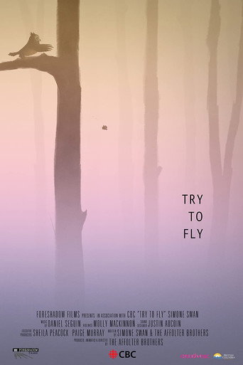 Try to Fly movie poster