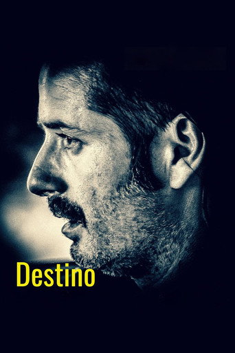 Destiny movie poster
