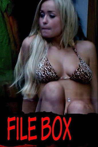 File Box movie poster