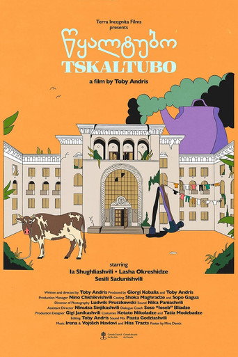 Tskaltubo movie poster