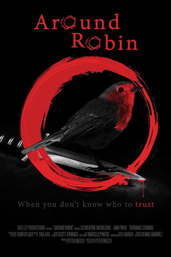 Around Robin movie poster