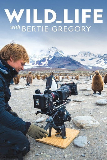 Wild Life: The Big Freeze movie poster