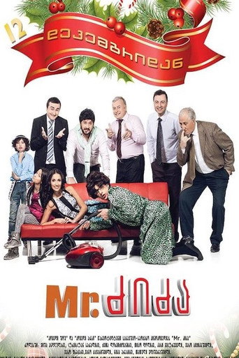 Mr. Nanny movie poster