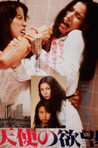 Angel's Desire movie poster