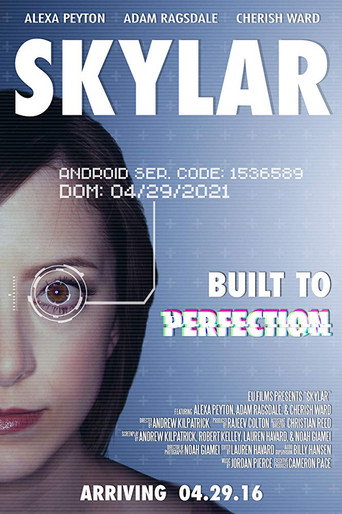Skylar movie poster