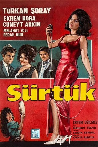 Bitch movie poster
