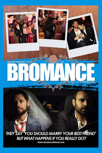 Bromance movie poster