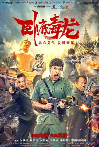 Operation Undercover 2: Poisonous Dragon movie poster