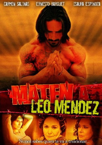 Maten a Leo Méndez movie poster