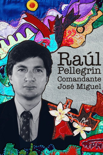 Raúl Pellegrin, Comandante José Miguel movie poster