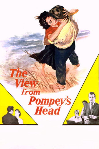 The View from Pompey's Head movie poster