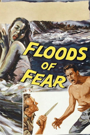 Floods of Fear movie poster