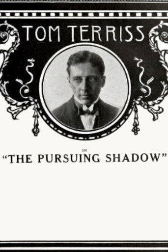 The Pursuing Shadow movie poster