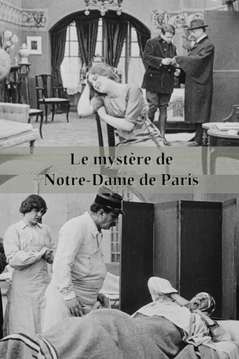 The Mystery of Notre-Dame de Paris movie poster