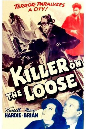 Killer at Large movie poster