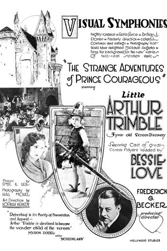 The Strange Adventures of Prince Courageous movie poster