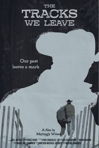 The Tracks We Leave movie poster