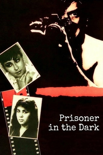 Prisoner in the Dark movie poster