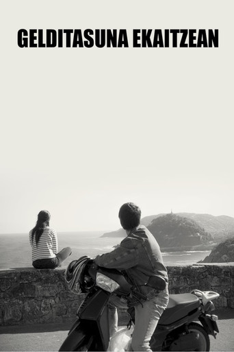 Stillness in the Storm movie poster