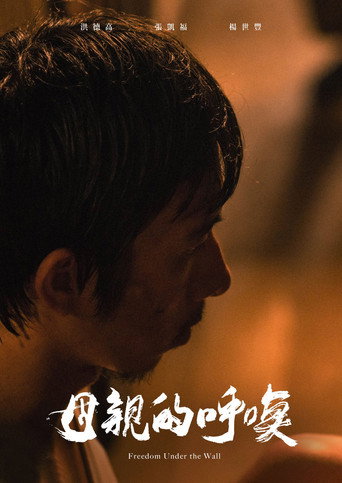 Freedom Under the Wall movie poster