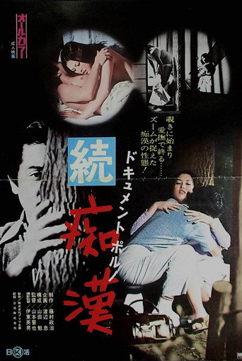 Dokyumento poruno: Zoku chikan movie poster