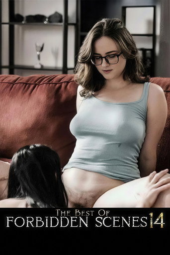 The Best of Forbidden Scenes 14 movie poster