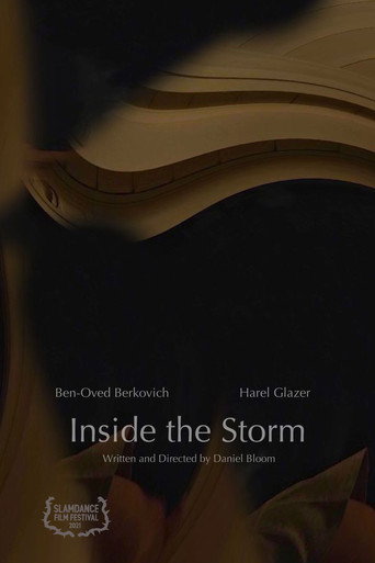 Inside the Storm movie poster