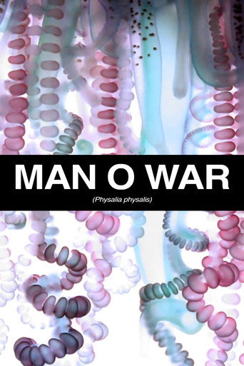Man O War movie poster