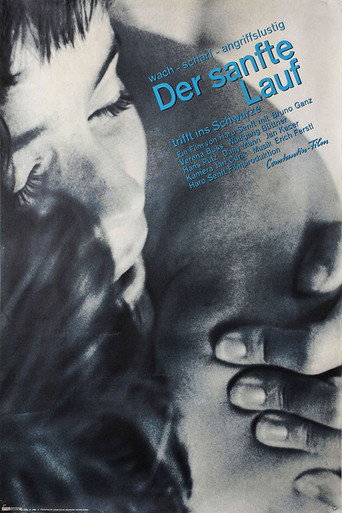 The Soft Course movie poster