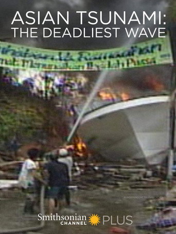 Asian Tsunami: The Deadliest Wave movie poster