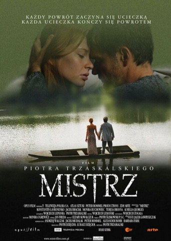 The Master movie poster