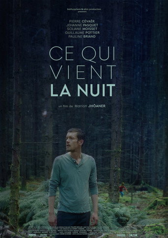 What Comes at Night movie poster