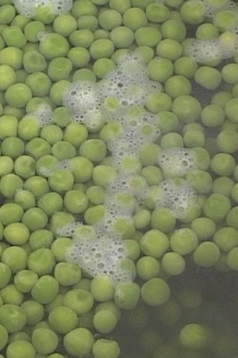 Peas movie poster
