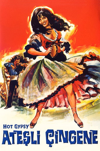 Hot Gypsy movie poster