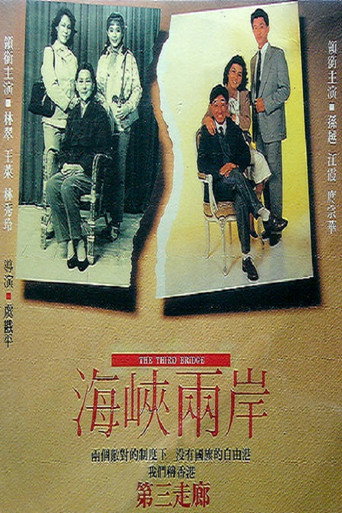 The Third Bridge movie poster