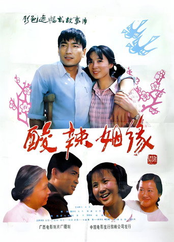 酸辣姻缘 movie poster