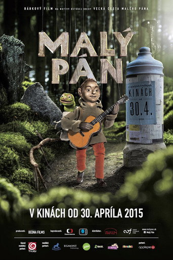 The Little Man movie poster