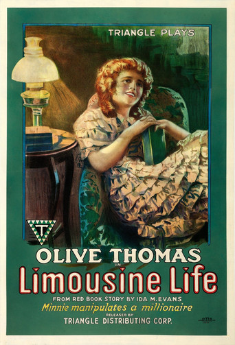 Limousine Life movie poster