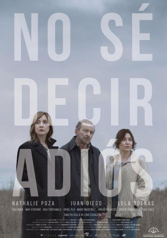 Can't Say Goodbye movie poster