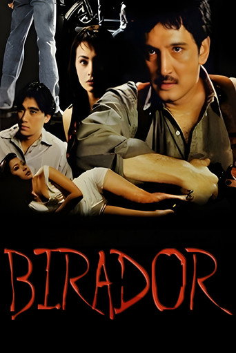 Birador movie poster